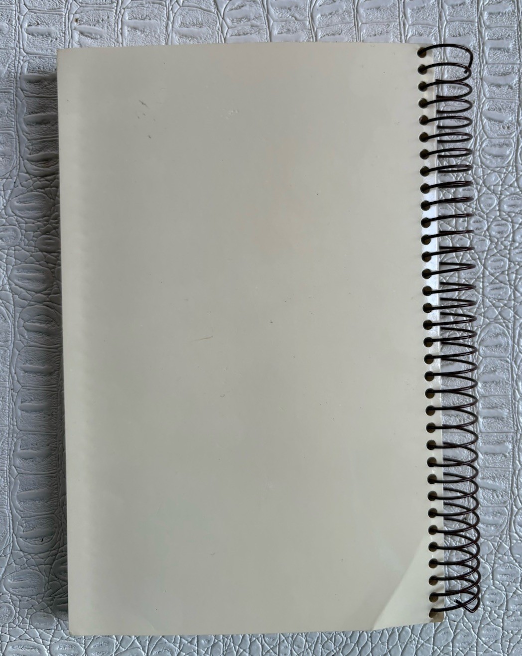 VTG Ashantilly Cookbook Darien Georgia Wire Spiral Bound Haynes Family 200 Pages