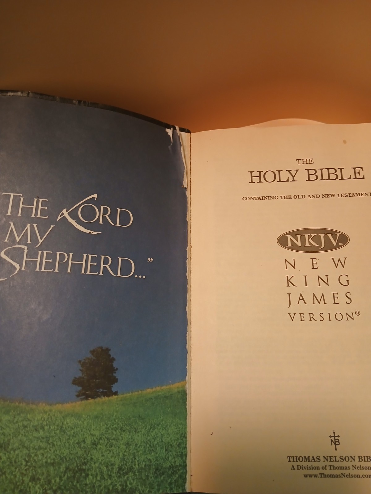 Thomas Nelson Bible Holy Bible NKJV New King James Version Leather Bound