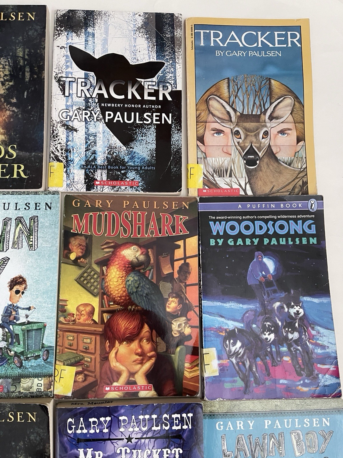 Lot of 23 Gary Paulsen Books- Lawn Boy- Hatchet -Tracker – Frog – Tucket –