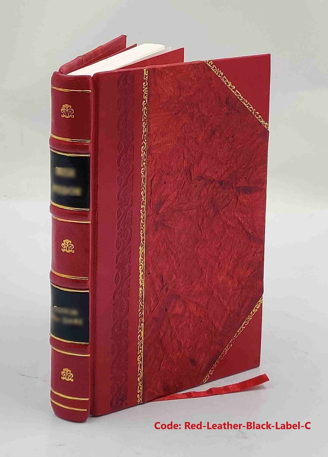 Alphabethische naam-lyst van alle de Groendlandsche en Straat-Da [Leather Bound]