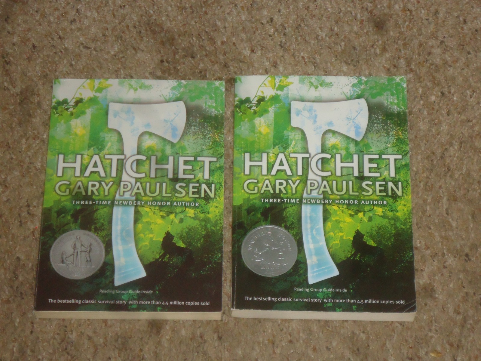 Lot 20 Hatchet Books Teacher Class Set Gary Paulsen Guided Reading