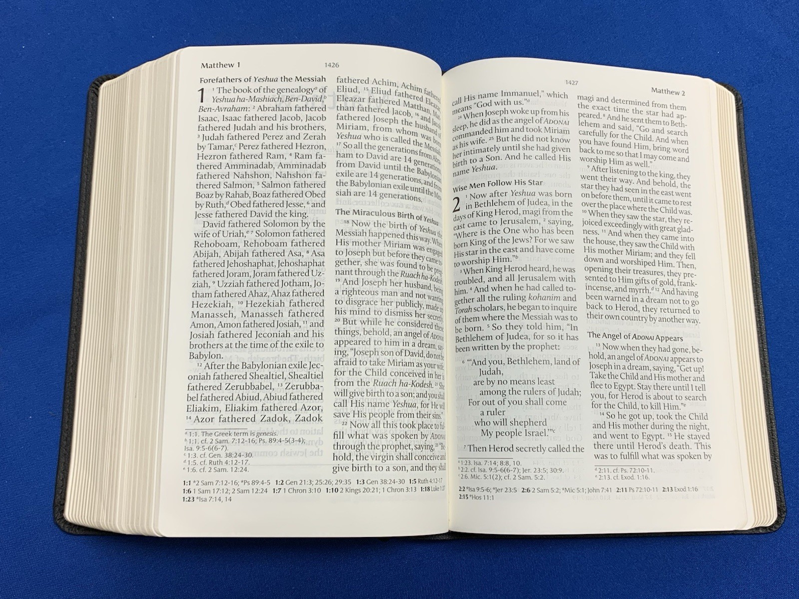 TLV Tree of Life Version Personal Size Giant Print Ref Bible Black Messianic