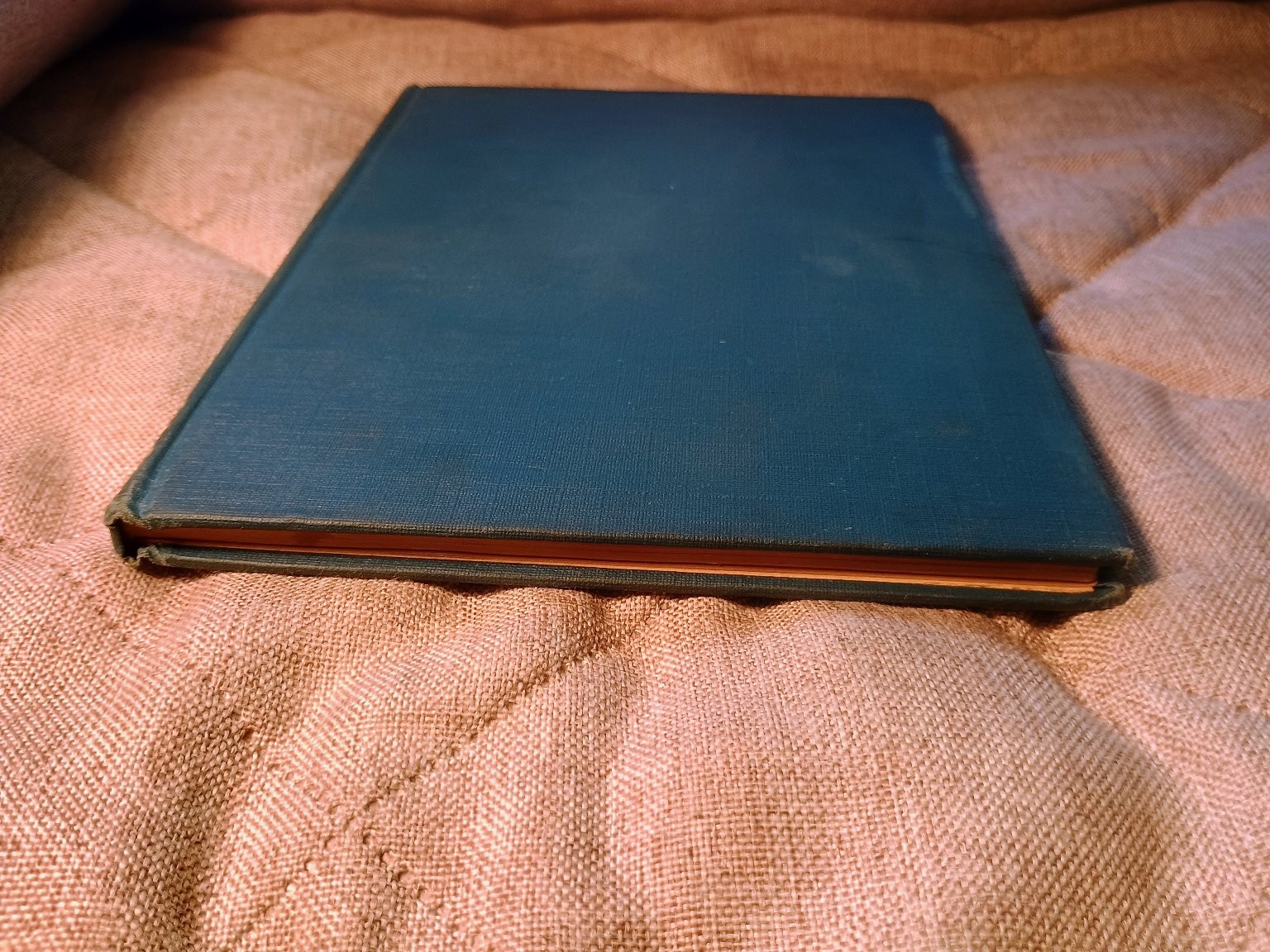 The Forgetful Letter B Richard A. Clarke 1922 Vintage Children’s Illustrated