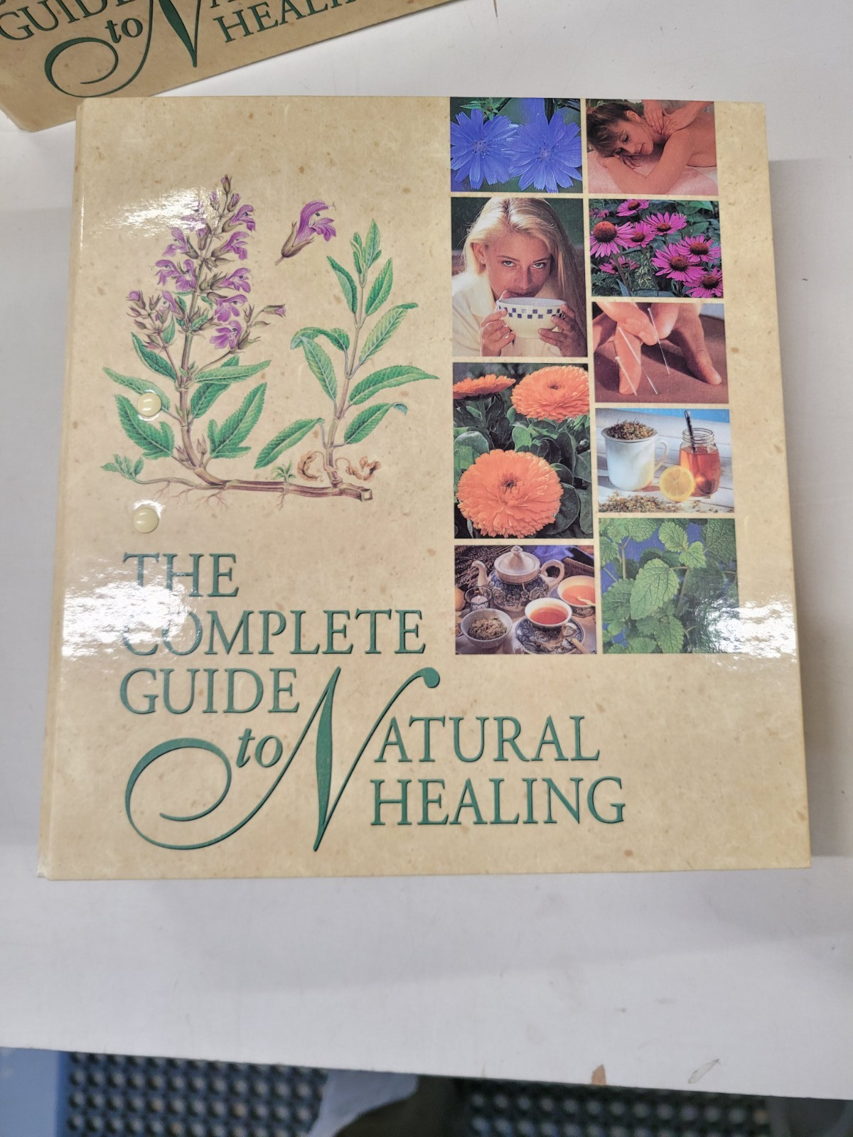 The Complete Guide to Natural Healing Alternative Medicine All 5 Books