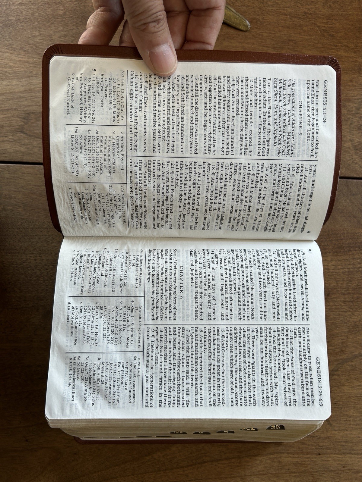 Holy Bible Book of Mormon Doctrine and Covenants Pearl of Great Price Indexed