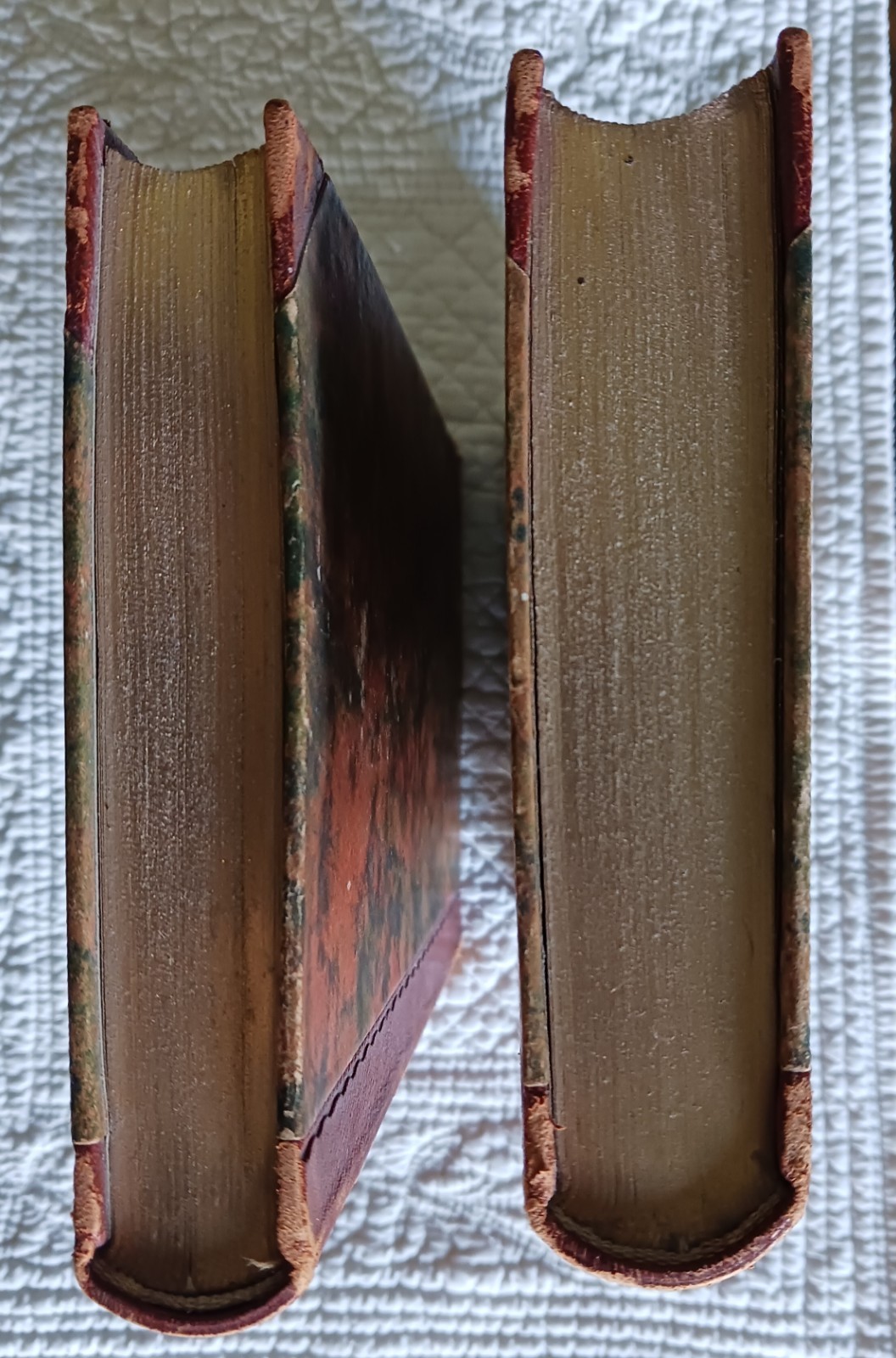 Versuch über die Ungleichheit Der Menschenracen, Gobineau, Volumes 1 & II, 1922