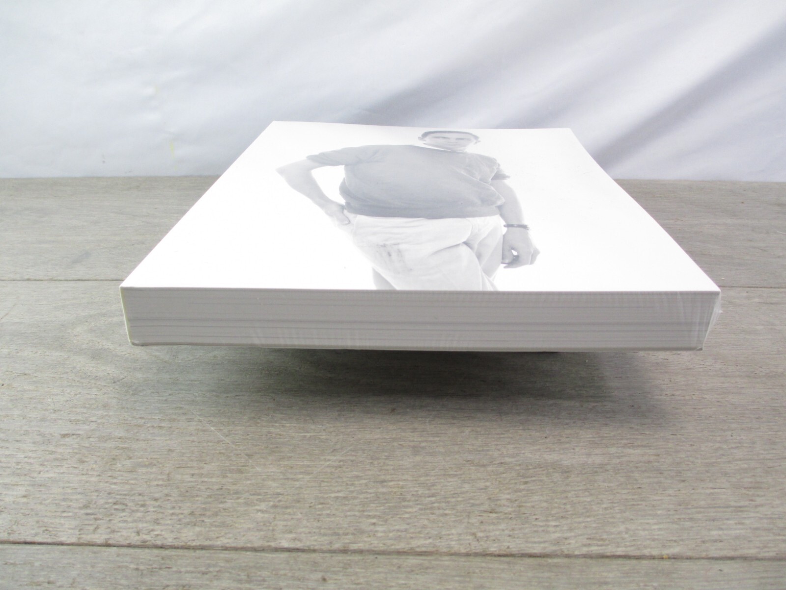 Robert Rauschenberg: Combines 2005 *SEALED PB MONOGRAPH Art Book NEW – Tate/MoCA