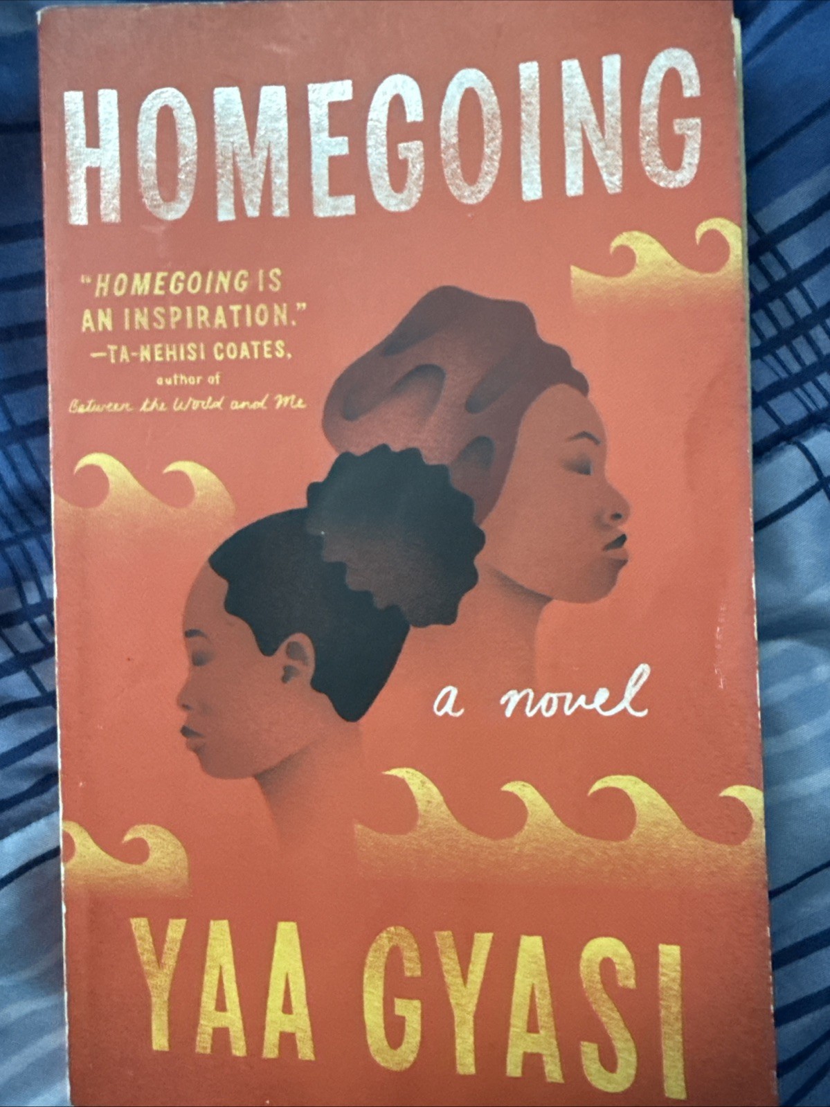 Homegoing by Yaa Gyasi (2017, Trade Paperback)