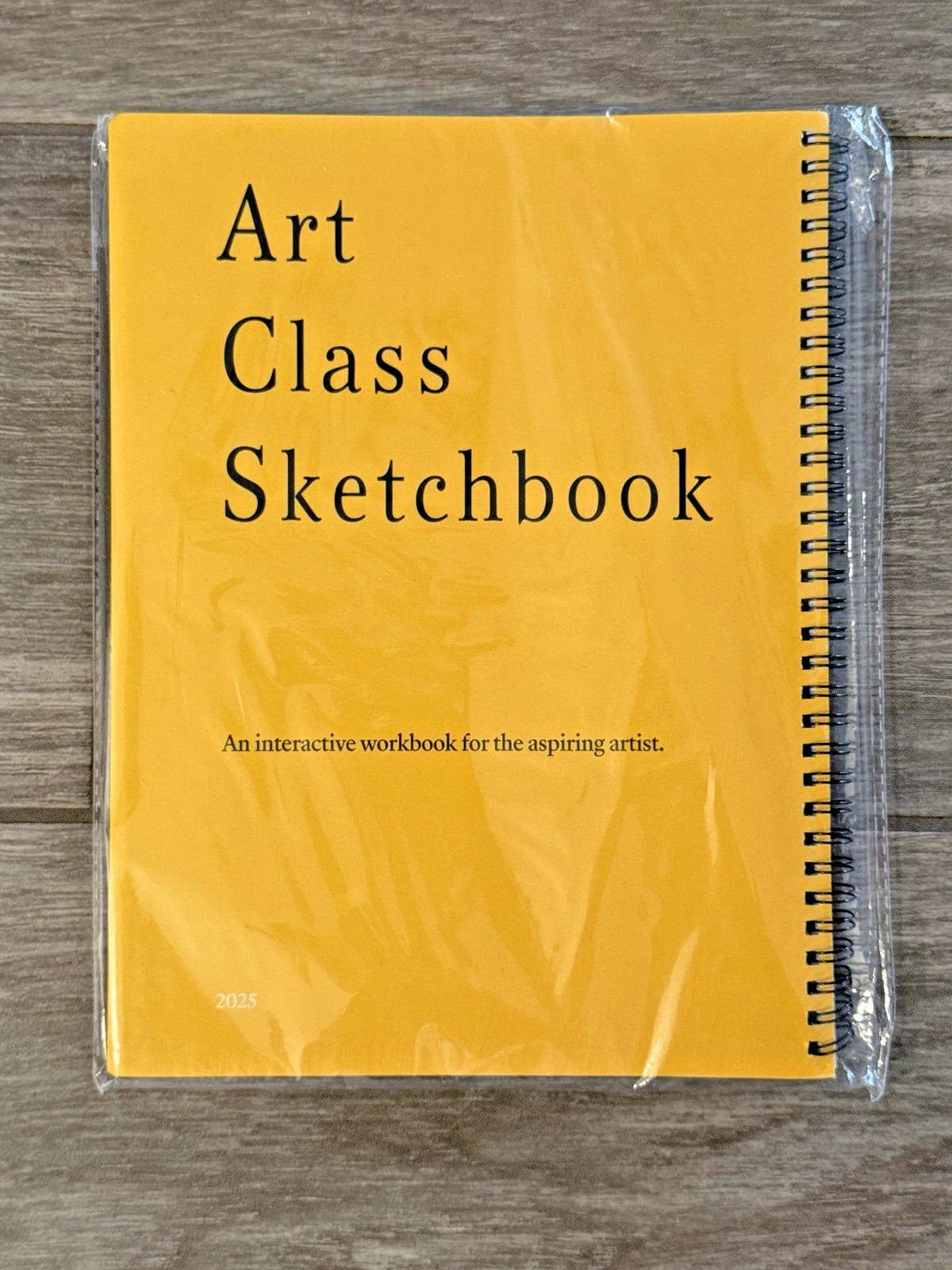 This Is NOT a Sketchbook Lauren Horn Interactive Art Class Workbook New Sealed