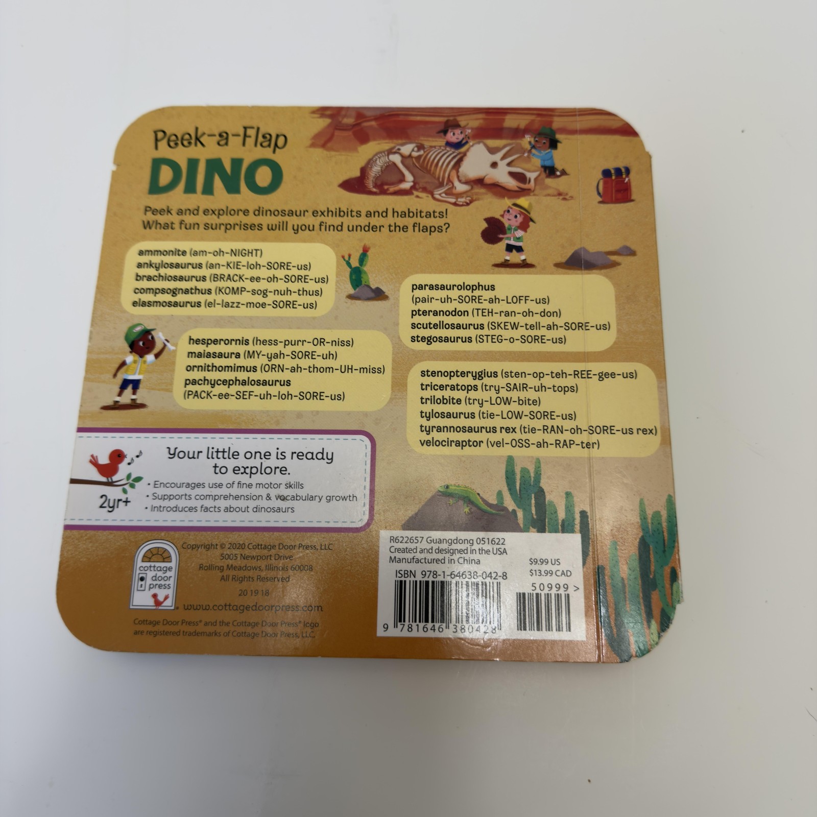 Peek-a-Flap DINO Jaye Garnett Cottage Door Press Dino Board Book Ages 2-3 Green