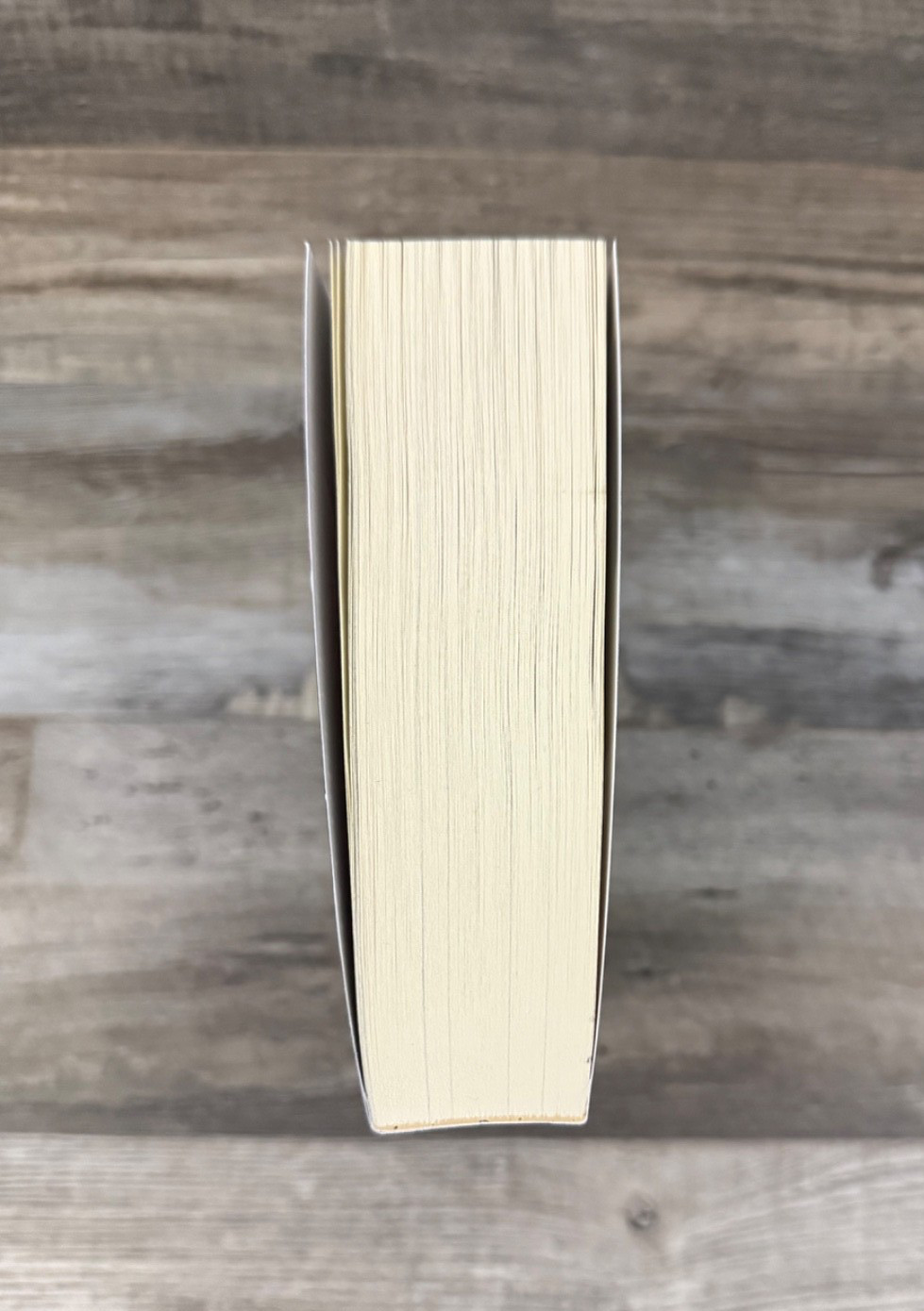 Out Of Print SOULS IN RUIN Jacqueline White OOP SELF-PUBLISHED Paperback