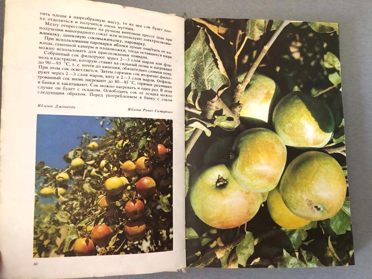 Книга на русском Приготовление фруктовых и овощных соков в домашних условиях