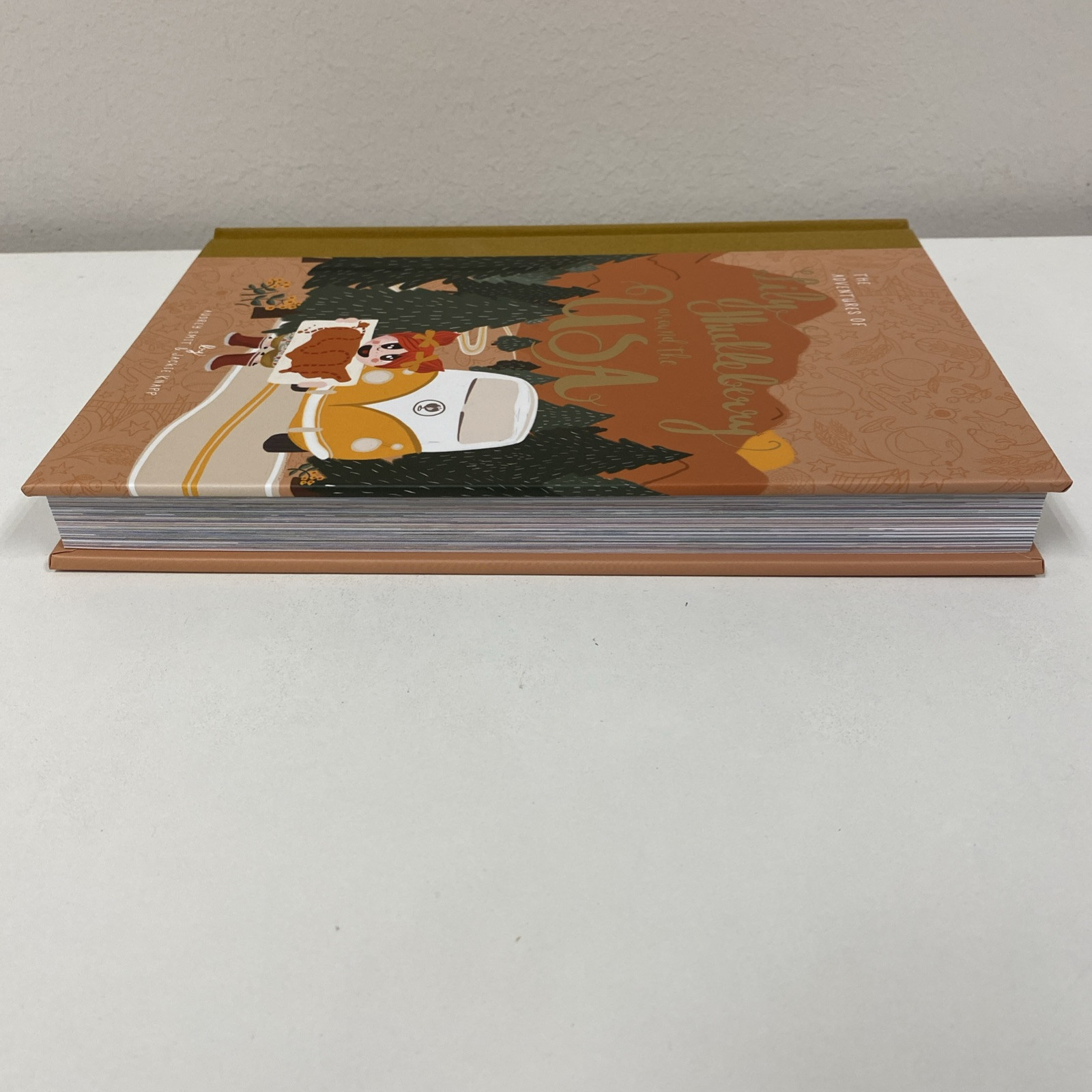 Adventures of Lily Huckleberry Around the USA by Audrey Smit and Jackie Knapp…