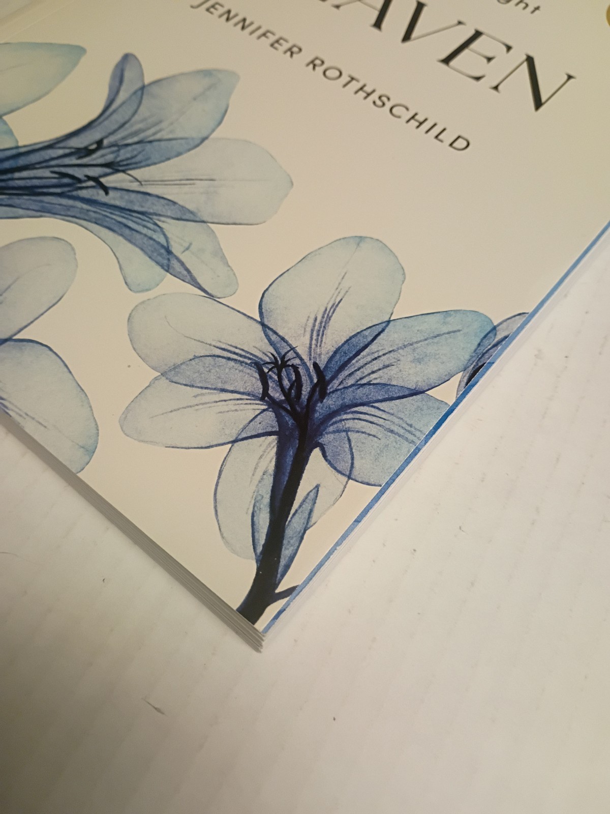Heaven -When Faith Becomes Sight, Bible Study Book with Video Access: