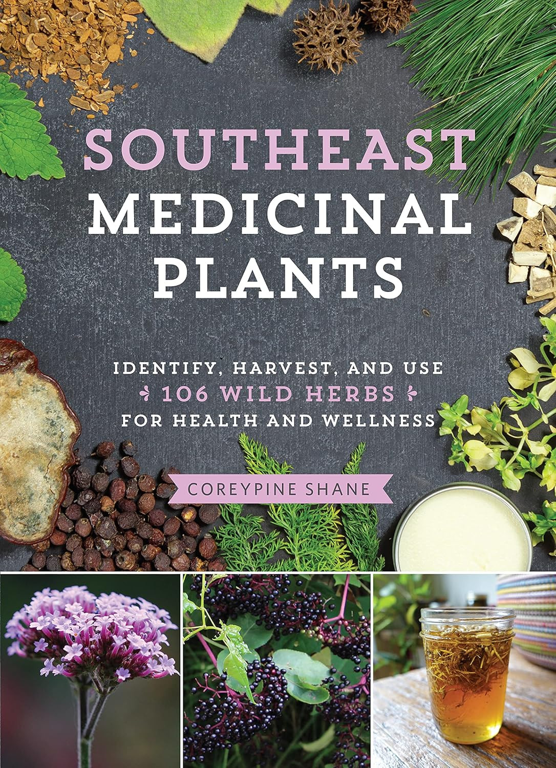Southeast Medicinal Plants: Identify, Harvest, and Use 106 Wild Herbs for Health