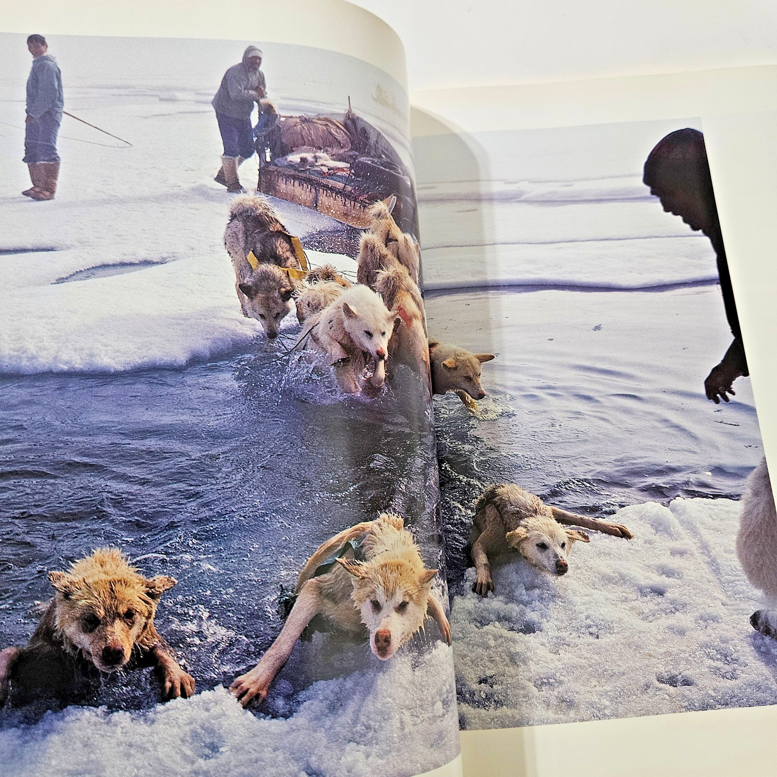 NATIONAL GEOGRAPHIC The Photographs, Luxury Edition Padded Gold Gilded Cover