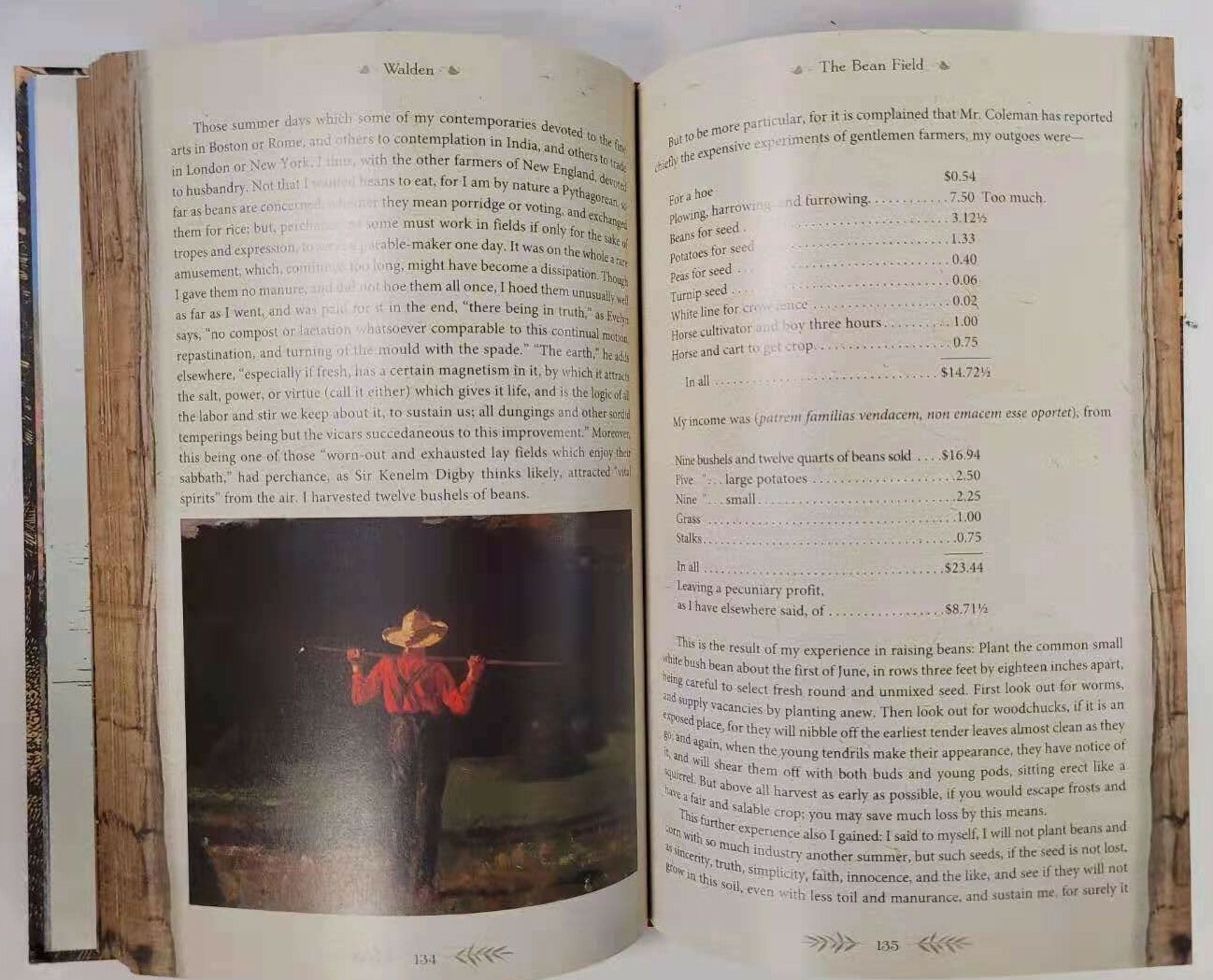 THE ILLUSTRATED WALDEN or Life in the Woods Henry David Thoreau Illustrated NEW