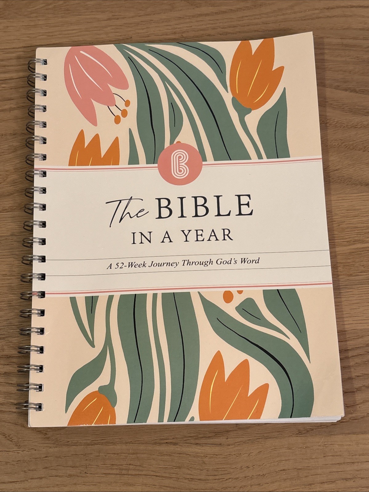 The Bible in a Year Spiral Bound Study Guide Adults English Nonfiction 11”x8.5”