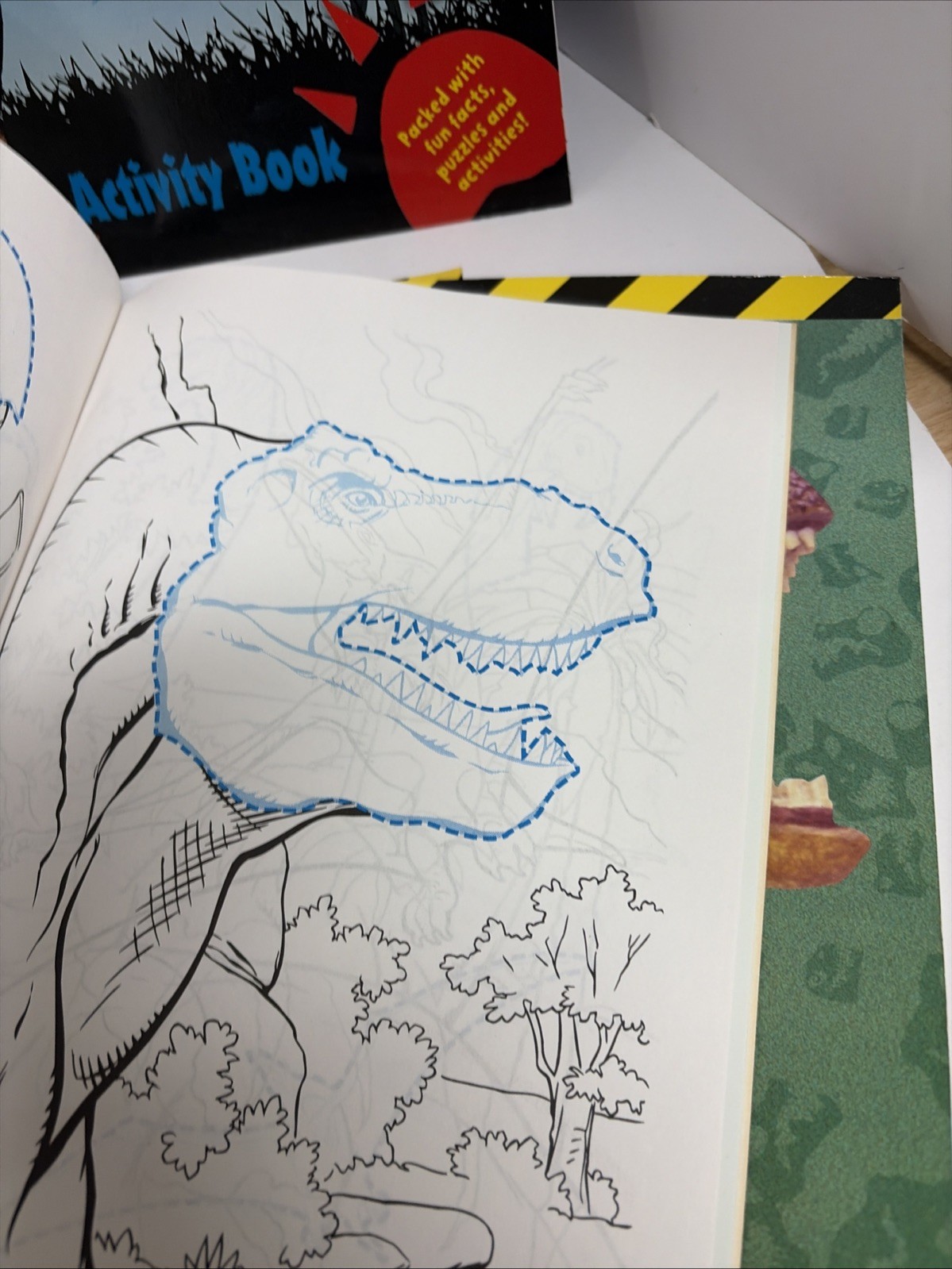 10 DINOSAURS ACTIVITY BOOKS. Paint, Color, Stickers & Puzzles NOS