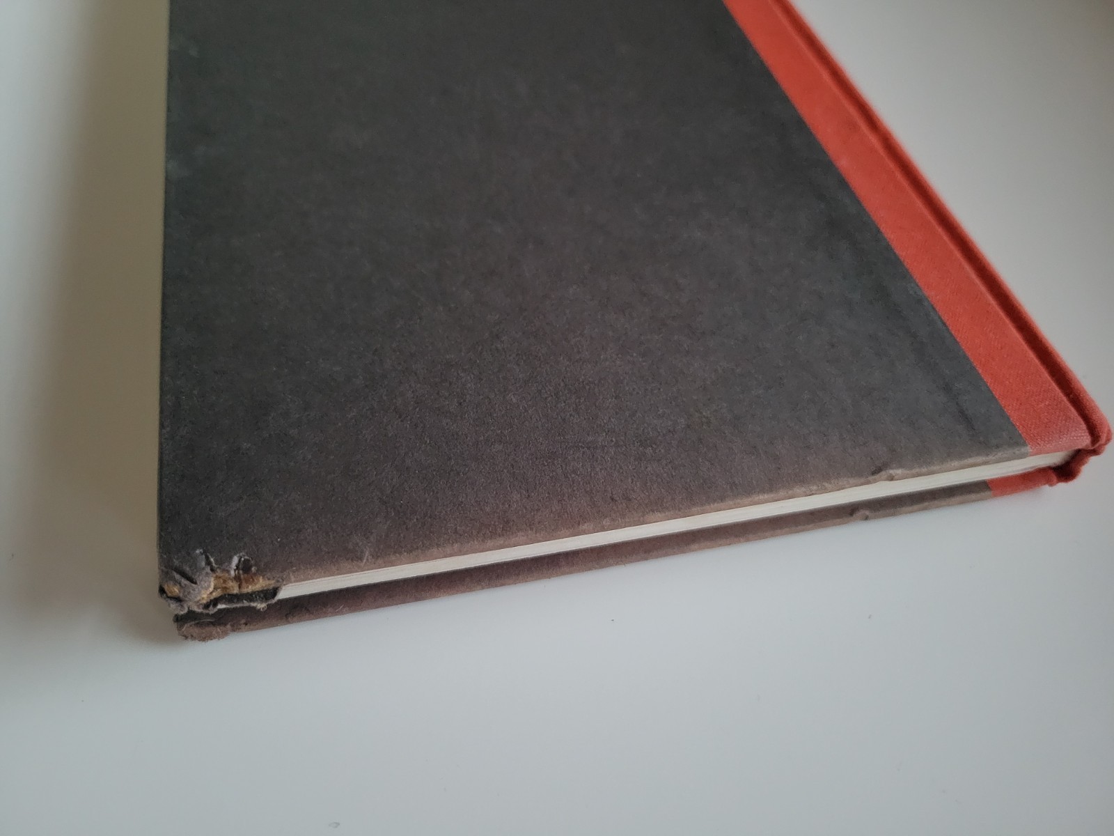 1981 TRUE 1ST EDITION HARDCOVER SCARY STORIES TO TELL IN THE DARK ALVIN SCHWARTZ