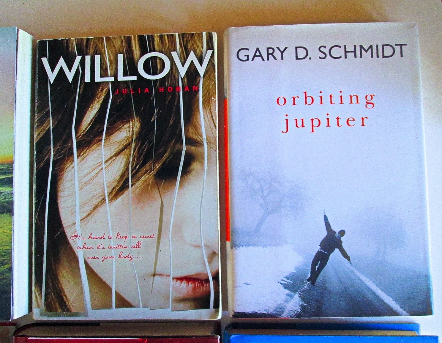 Lot of 9, Teen Young Adult Fiction Novels, Romance Mystery Drama, Modern Authors