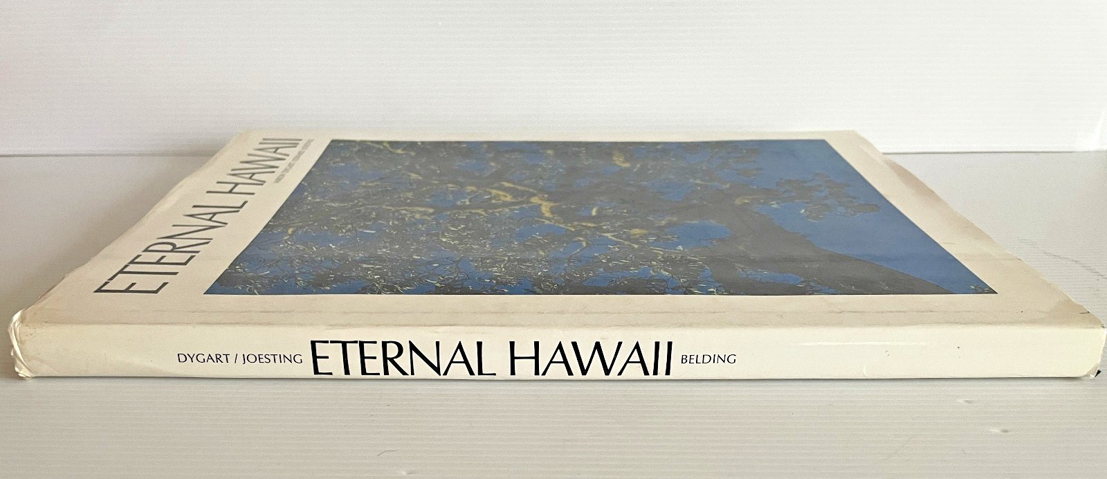 Eternal Hawaii Hardcover Book by Aaron Dygart 128 Pages 1976