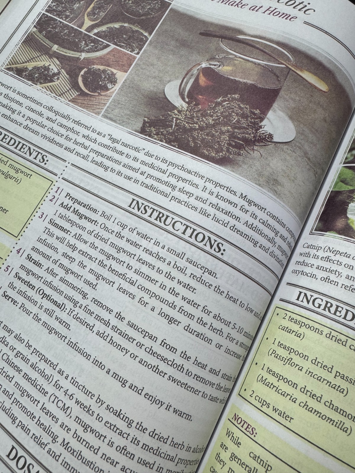 Forgotten Home Apothecary : 250 Powerful Remedies at Your Fingertips