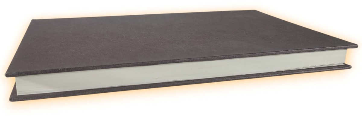 Music In 1853 The Biography of a Year MacDonald, Hugh HB in Jacket