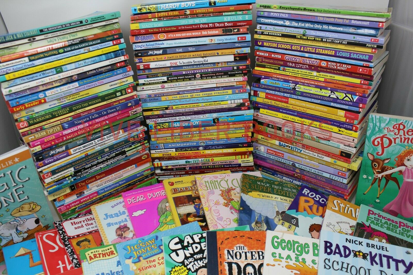 Bulk/Huge Lot of 50 of Children’s Kids Chapter Books – Random – Free Shipping!
