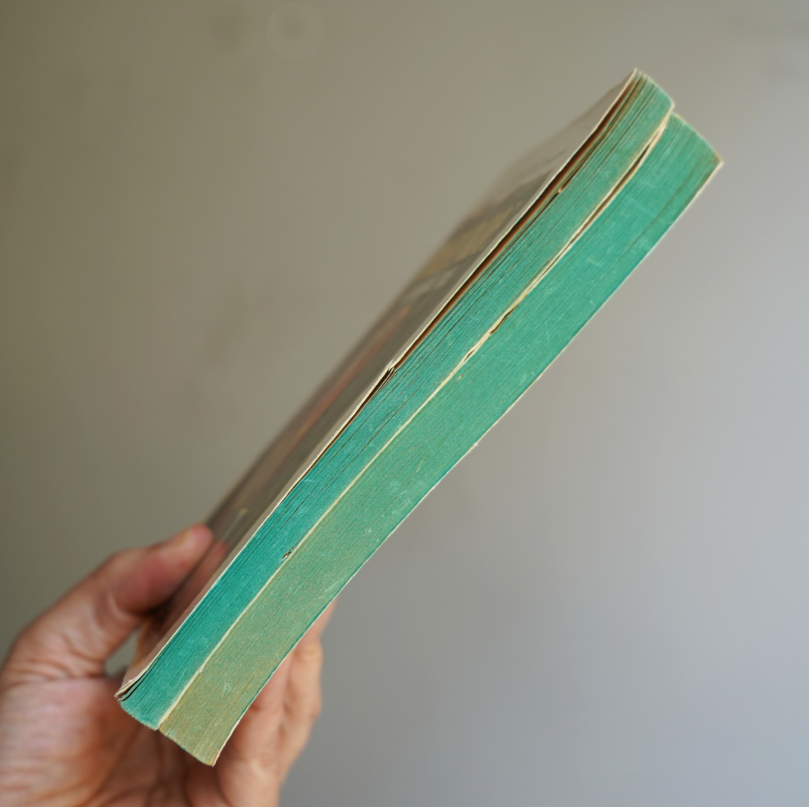 Vintage 1980 JUDY BLUME Starring Sally J. & Deenie Young Adults PB Books