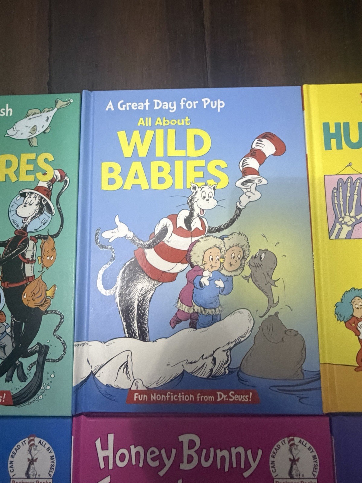 Lot of 20 books of Dr. Seuss Beginner Books Hardcover Lot Ages 4-8