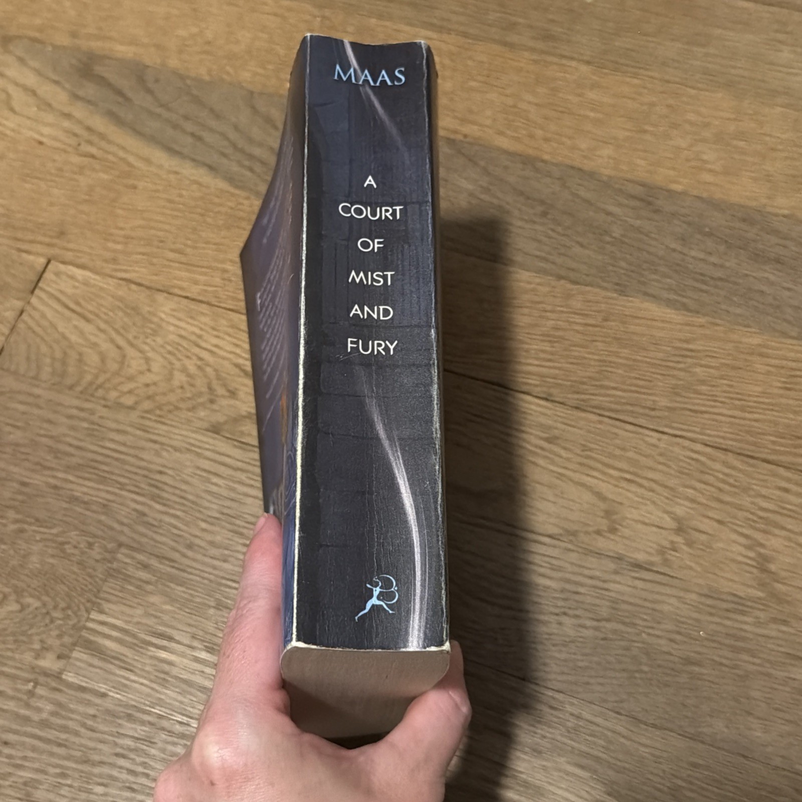 A Court of Mist and Fury Paperback OOP Original Cover Sarah J. Maas