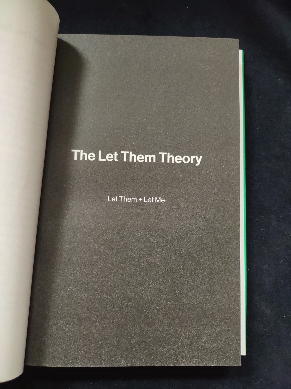 THE LET THEM THEORY Mel Robbins 1st Edition Hardcover Book Self Help Feel Great