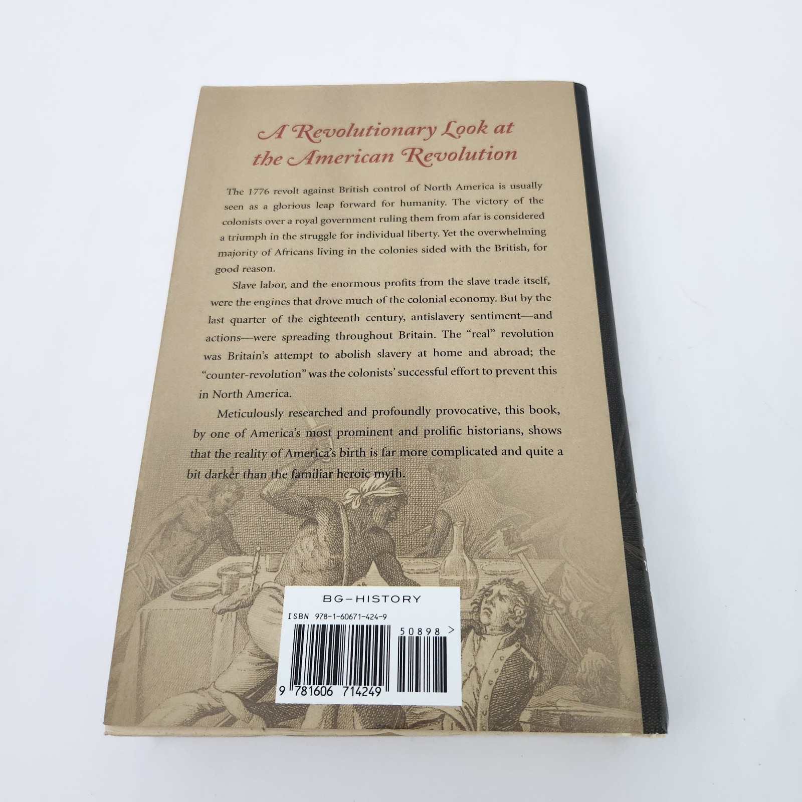 The Counter Revolution of 1776 Slave Resistance and the Origins of the USA