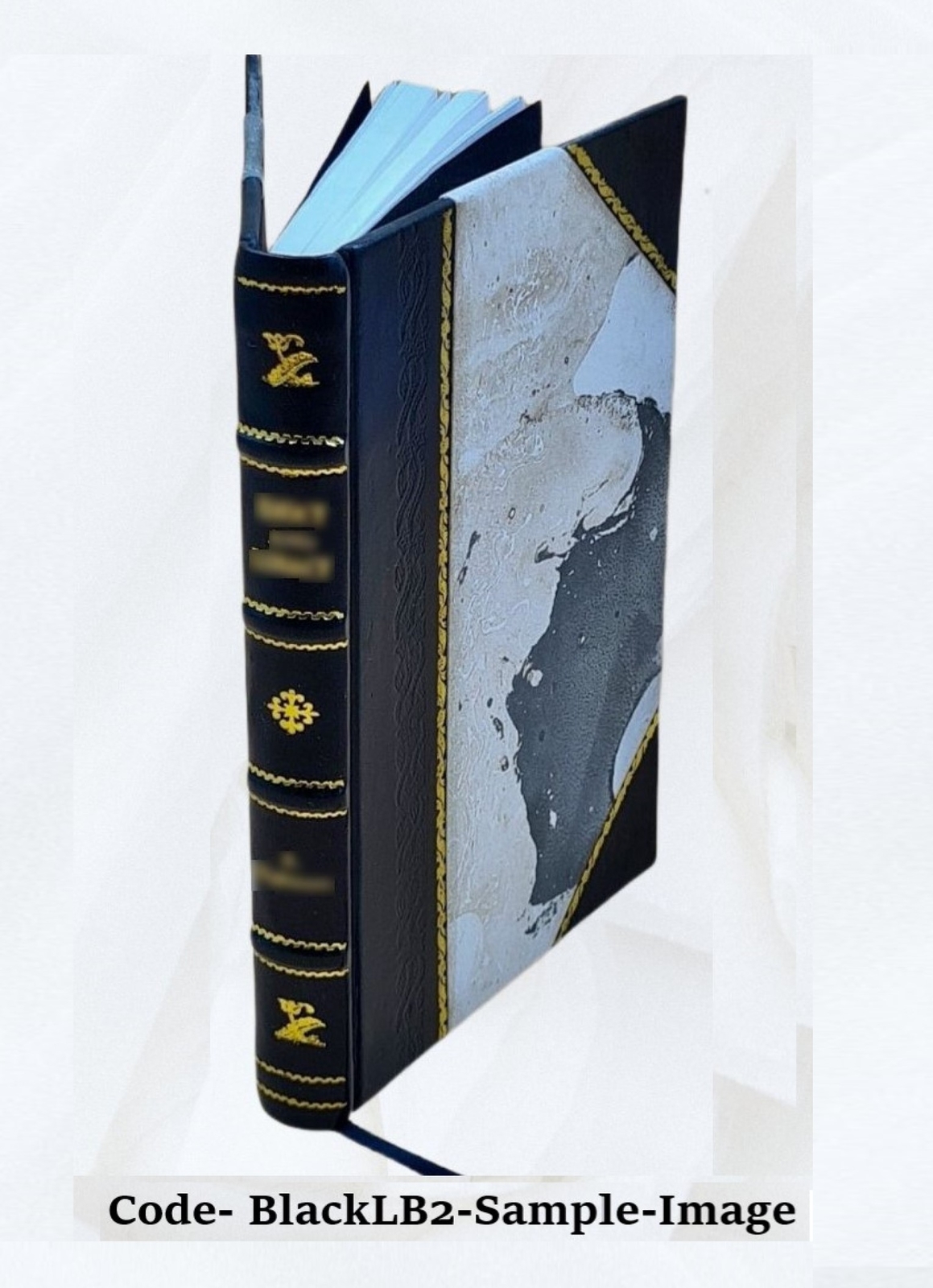 Regula Placitandi: A Collection Of Special Rules For Pleading Fr [Leather Bound]