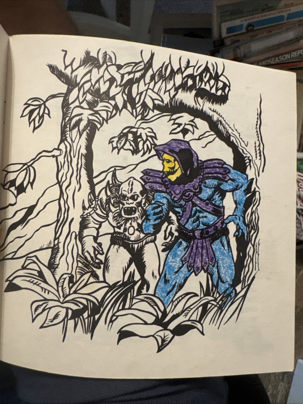 Lot Of 3 Vintage Masters Of The Universe Books From 1983 He-Man Skeletor