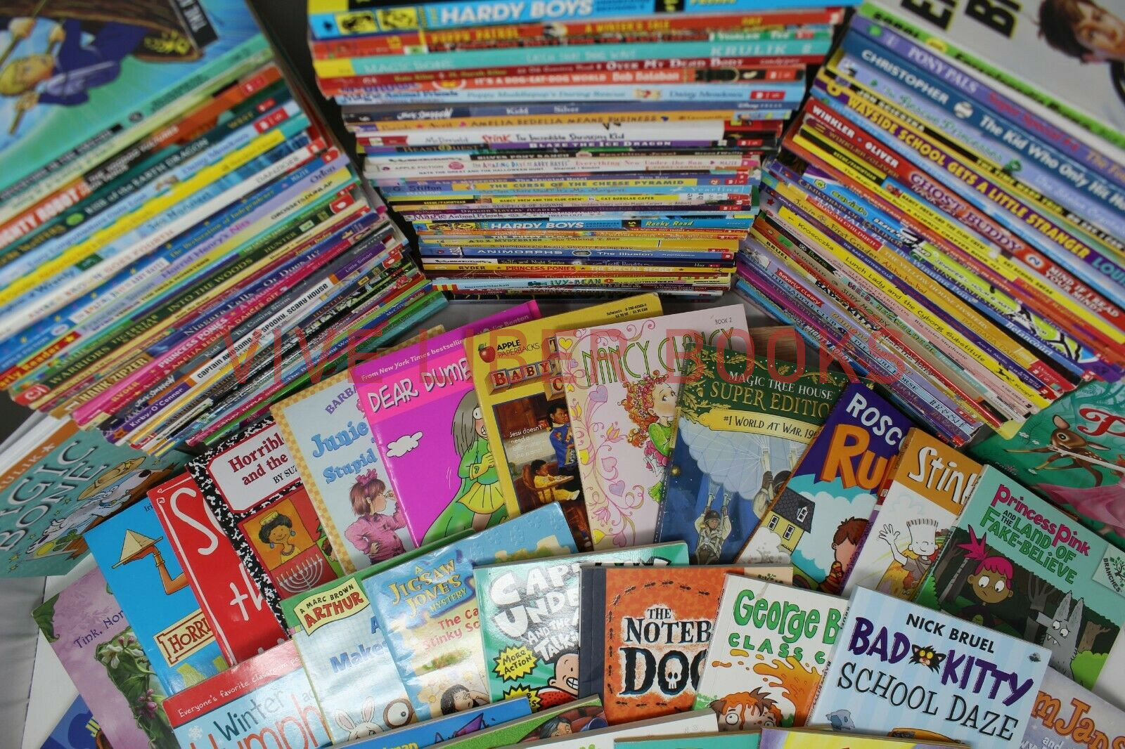 Bulk/Huge Lot of 100 of Children’s Kids Chapter Books – Random – Free Shipping!