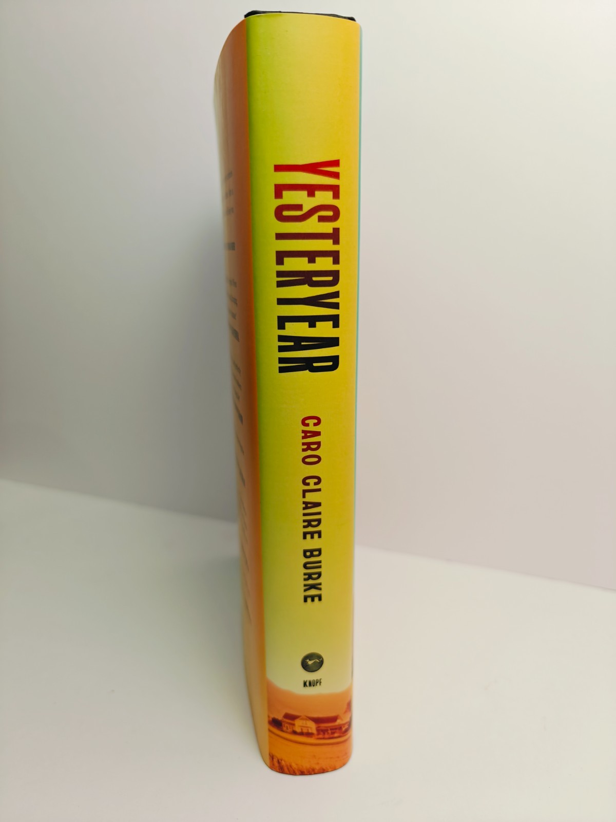 YESTERYEAR by Caro Claire Burke Hardcover