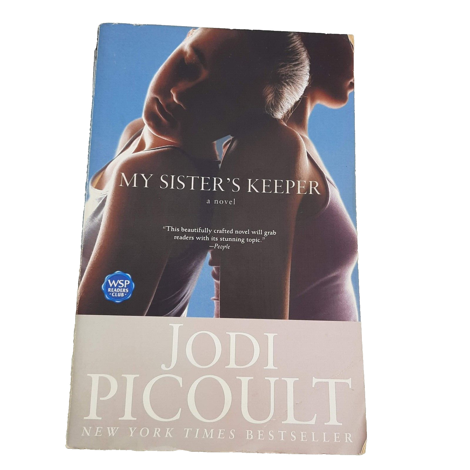 Romance Relationships Jodi Picoult All Larger TPB Lot of 6 Romantic Suspense