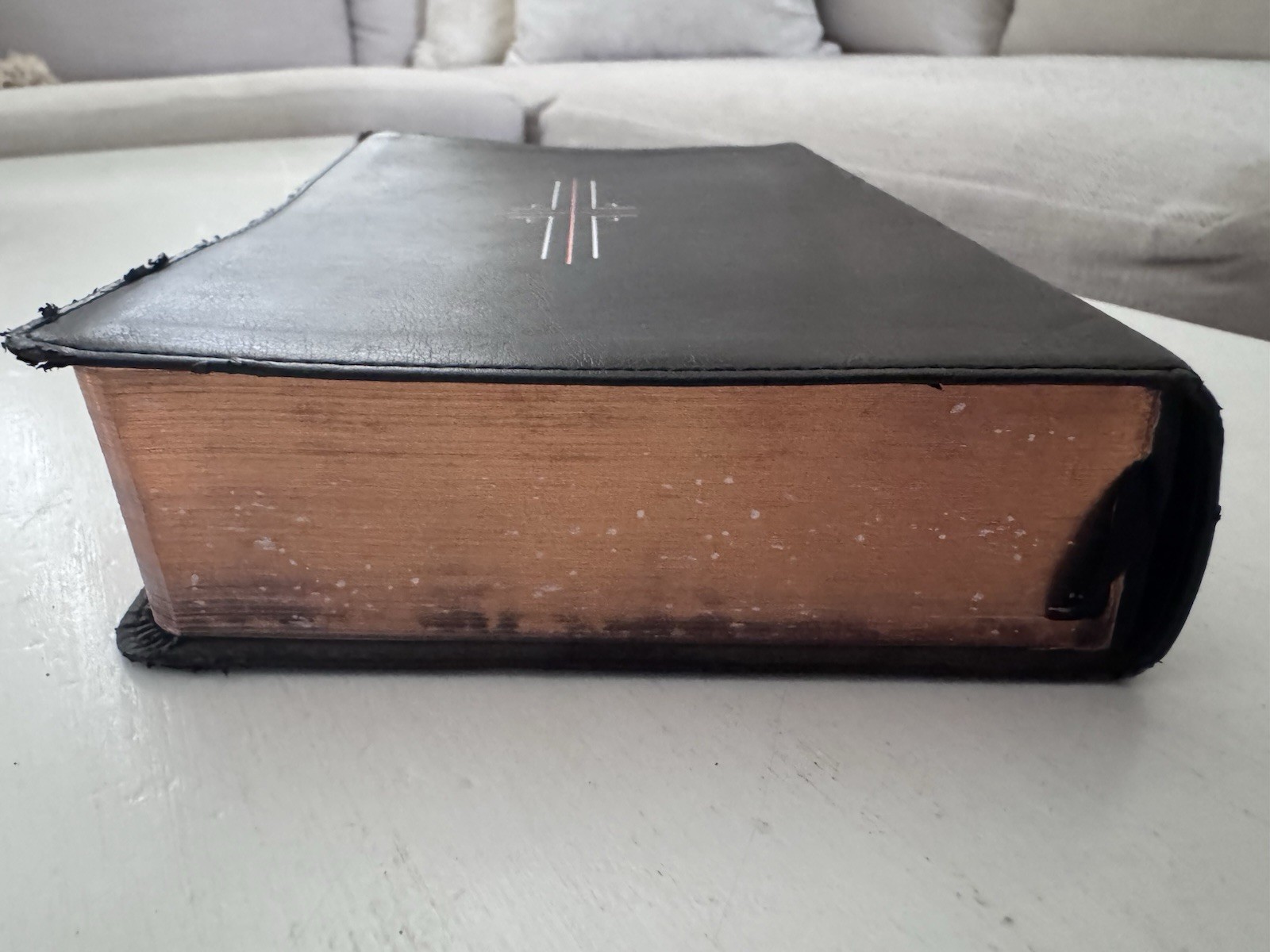 NLT Filament Bible (Hardcover Leather-Like, Black): Premium Bible