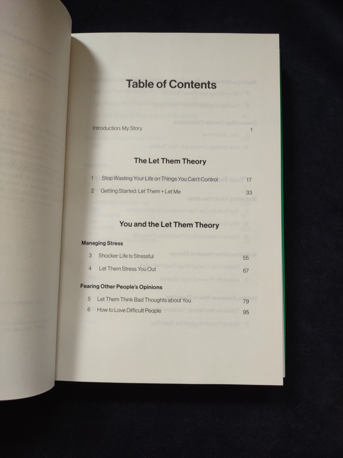 THE LET THEM THEORY Mel Robbins 1st Edition Hardcover Book Self Help Feel Great