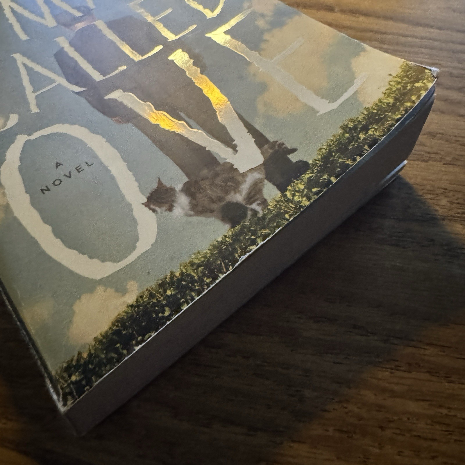 A Man Called Ove by Fredrik Backman (Paperback Book)
