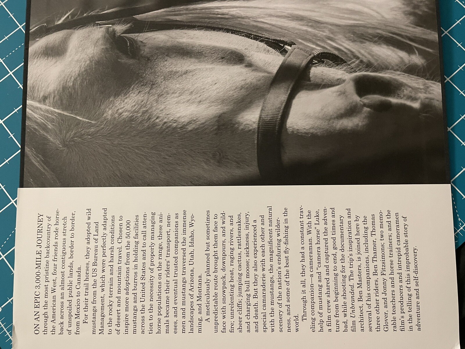 Unbranded by Ben Masters, Ben Thamer, Jonathan C. Fitzsimons, Thomas Glover and