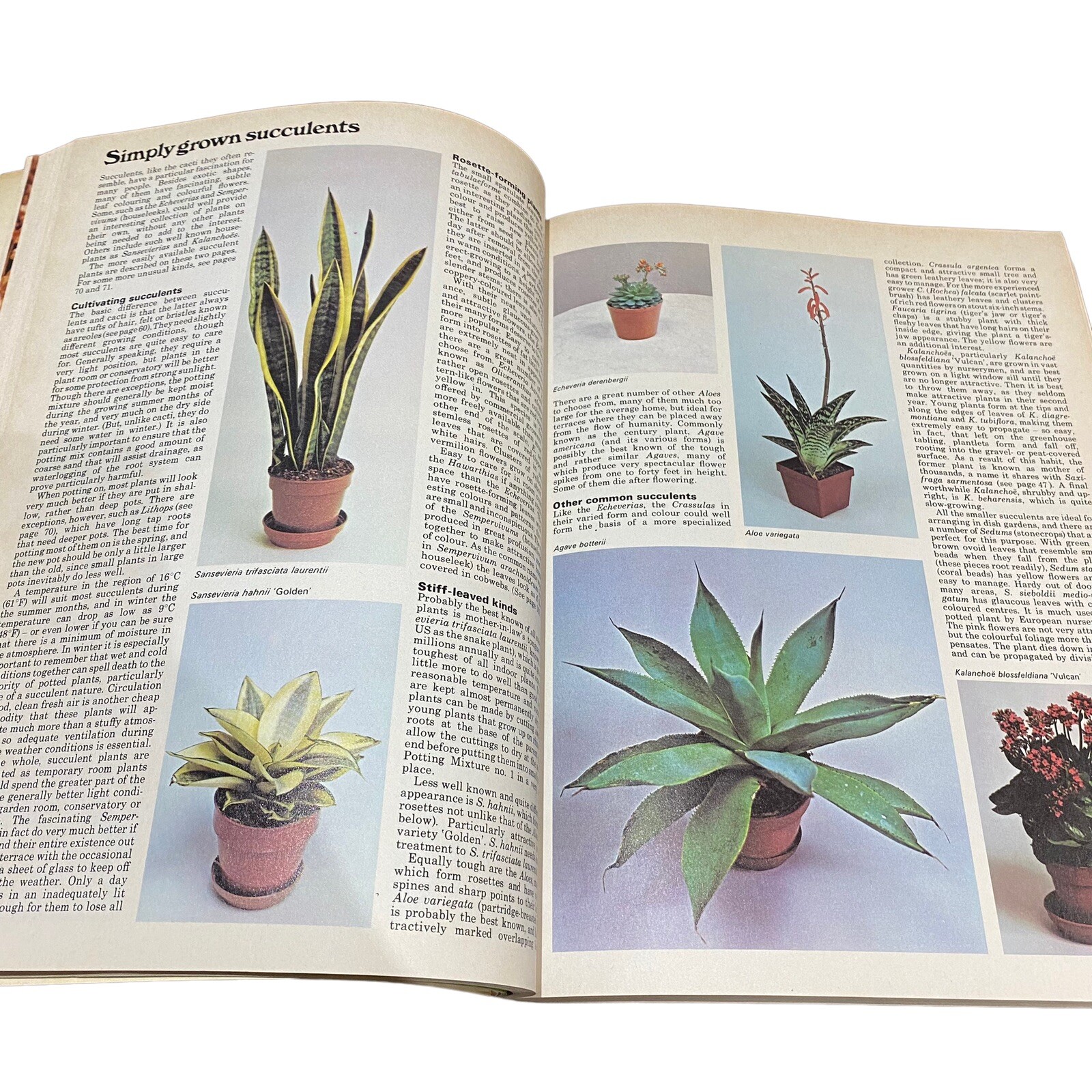 Vintage Indoor Gardener The Complete Book 1974 Ed by Michael Wright 256 Pages