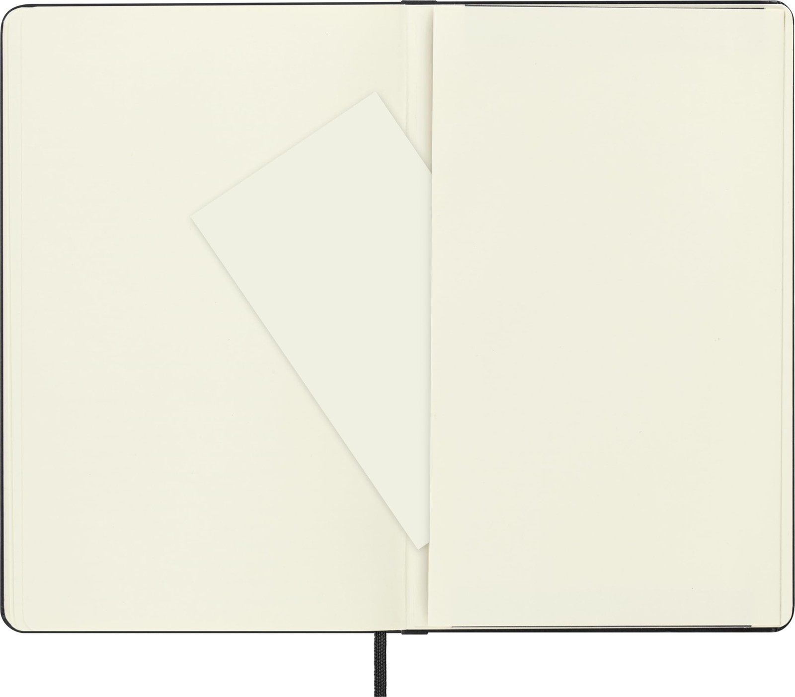 Moleskine Art Plus Sketchbook, Large, Plain, Black, Hard Cover (5 x 8.25)