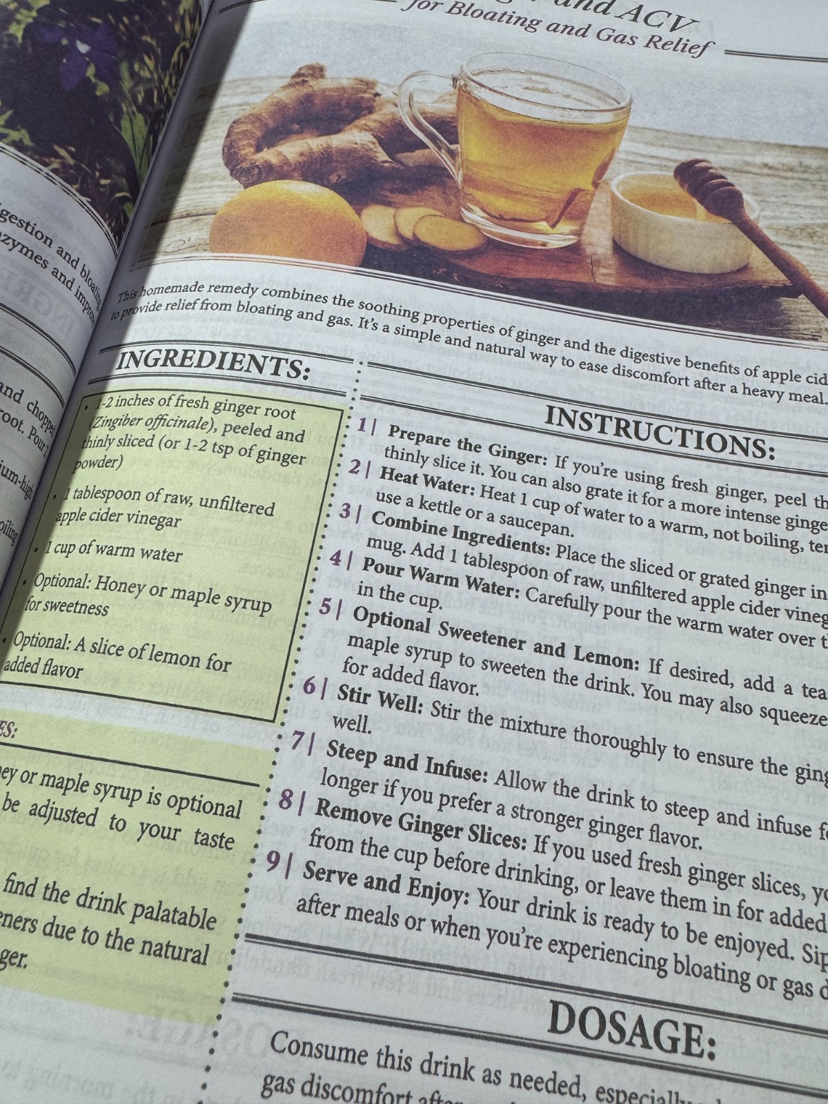 Forgotten Home Apothecary : 250 Powerful Remedies at Your Fingertips