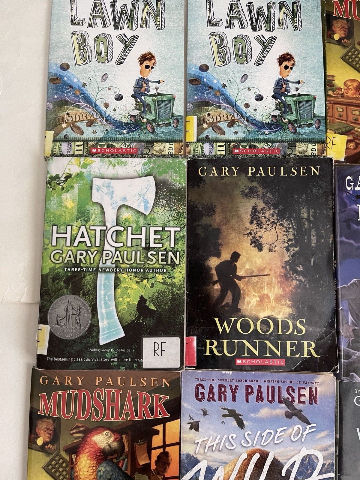Lot of 23 Gary Paulsen Books- Lawn Boy- Hatchet -Tracker – Frog – Tucket –