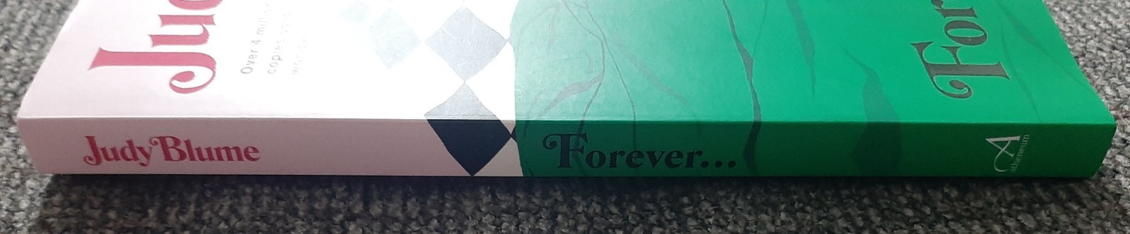 Forever by Judy Blume Paperback Book 2024 Edition Brand New Modern Cover Art