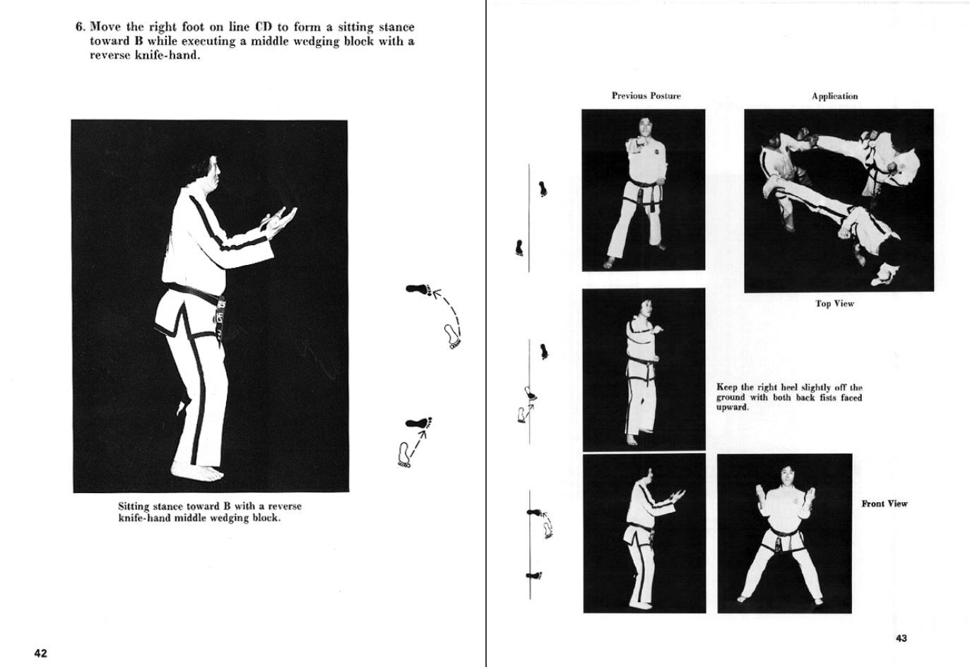 184 BOOKS – Black Belt – Martial Arts Expertise Discipline Skill Training-CD/DVD