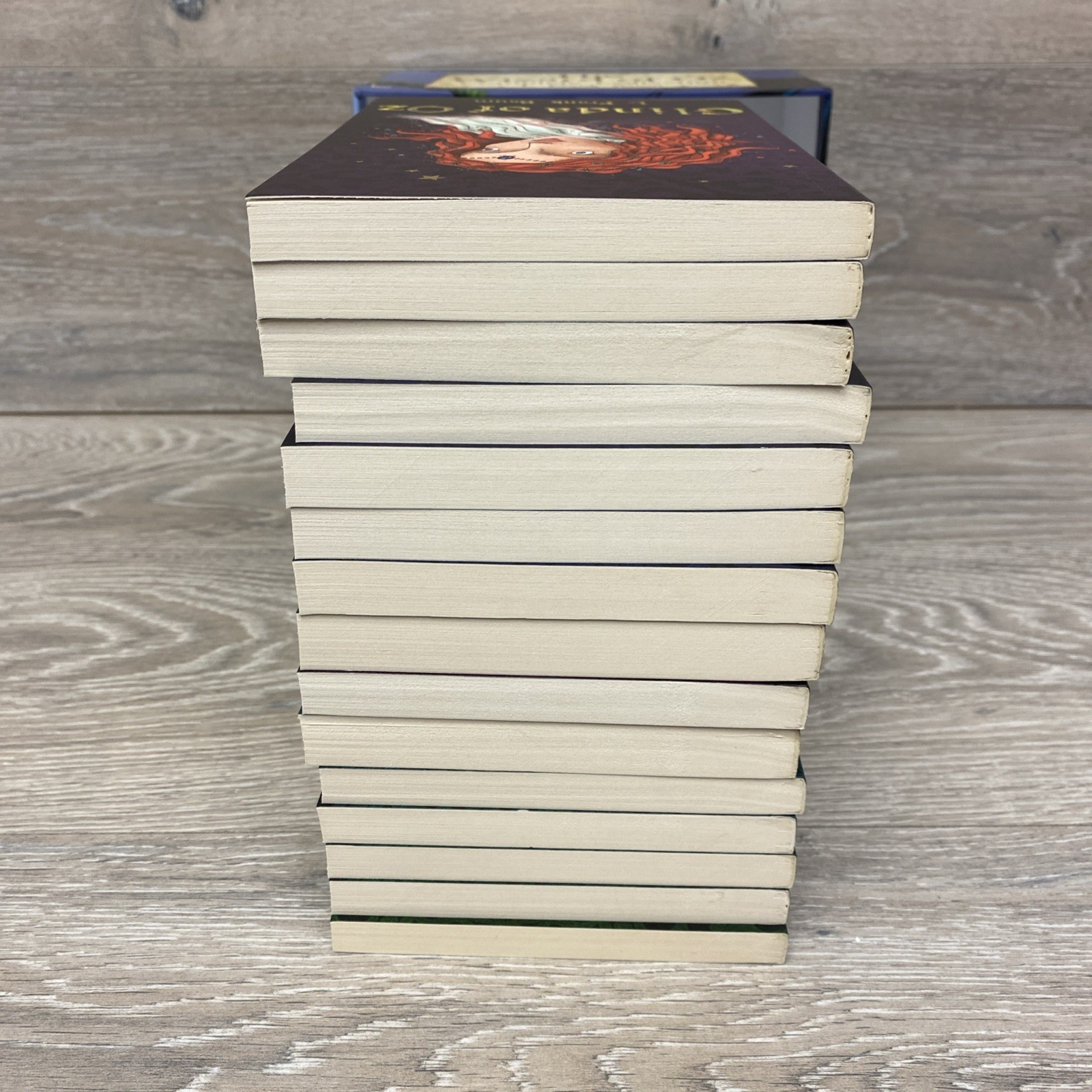 The Wizard of Oz Complete Collection L Frank Baum Box Set 15 Books